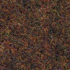 Pugi fenice 552 Swatch image for Pugi fenice 552